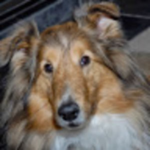 Meet your Posher, Ben